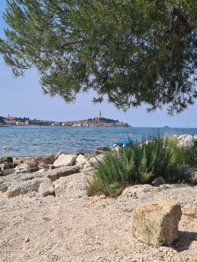 Hemy Casa - Lux Mobile Homes Rovinj Zewnętrze zdjęcie